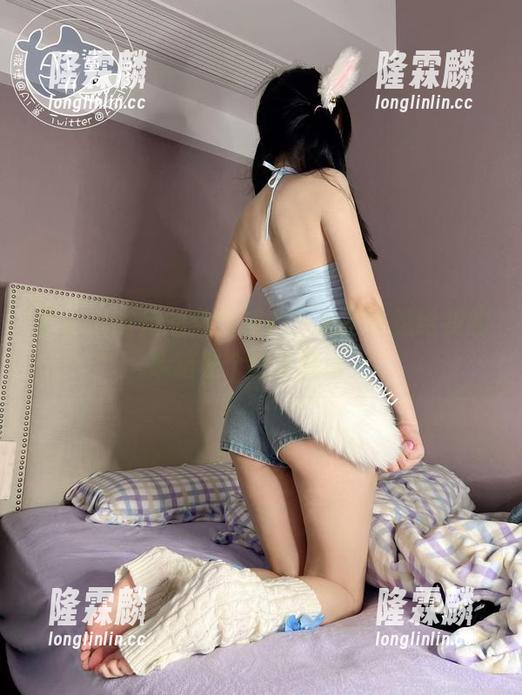 at鲨鱼 看着at鲨鱼的免费照片,忍不住想给我的冰箱贴个新年贺卡!