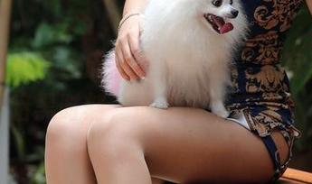 魔镜街拍黑色皮裤美女合集，没有圣光的暗黑时刻，助你放飞自我！